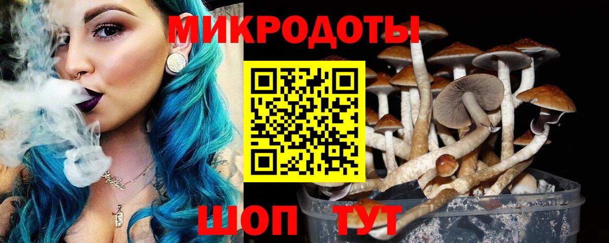 Псилоцибиновые грибы мицелий Красноперекопск