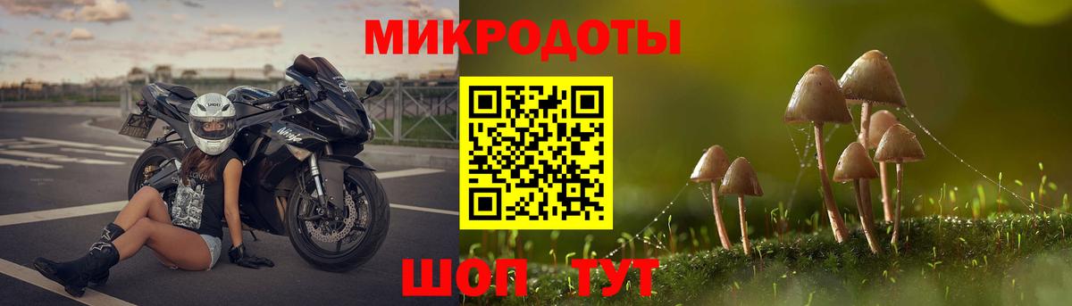 Красноперекопск  Псилоцибиновые грибы Magic Shrooms  Вход с VPN 